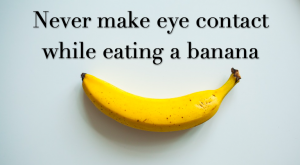 never make eye contact while eating a banana, the midult, midult mantra