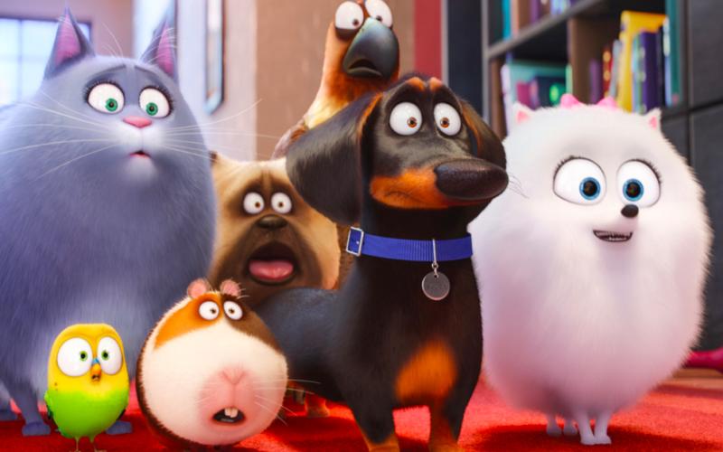 secret life of pets, dogs, pets, animals, directory