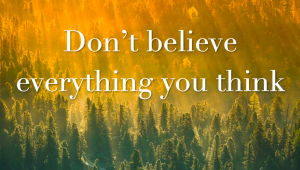 don't believe everything you think, the midult, midult mantra