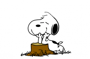 snoopy, daydreaming, fizz of possibility, hope, opportunity