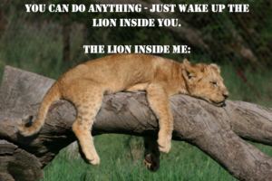 wake up the lion inside you, lion, lazy, sleeping, meme